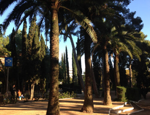 Vivir en el denominado “Upper Diagonal”